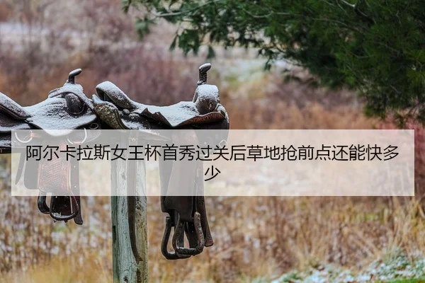 a-er-ka-la-si-nv-wang-bei-shou-xiu-guo-guan-hou-cao-di-qiang-qian-dian-hai-neng-kuai-duo-shao-2-856.jpg