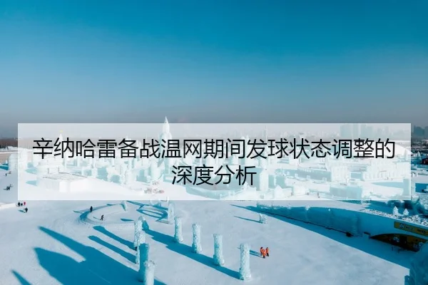 辛纳哈雷备战温网期间发球状态调整的深度分析