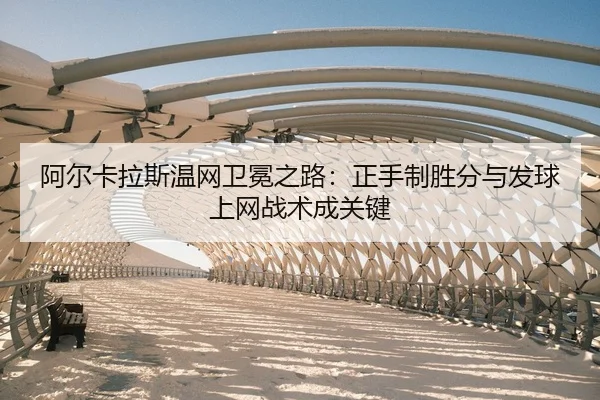 a-er-ka-la-si-wen-wang-wei-mian-zhi-lu-zheng-shou-zhi-sheng-fen-yu-fa-qiu-shang-wang-zhan-shu-cheng-guan-jian-2-831.jpg